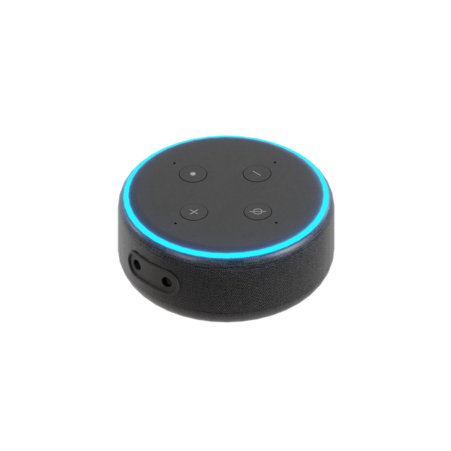 Alexa Echo