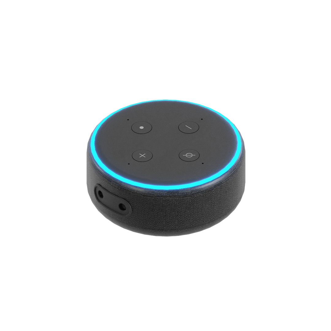 Alexa Echo